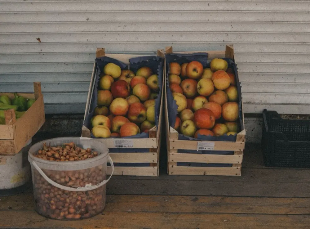 Fresh and Perishable: Fruit, dairy, vegetables